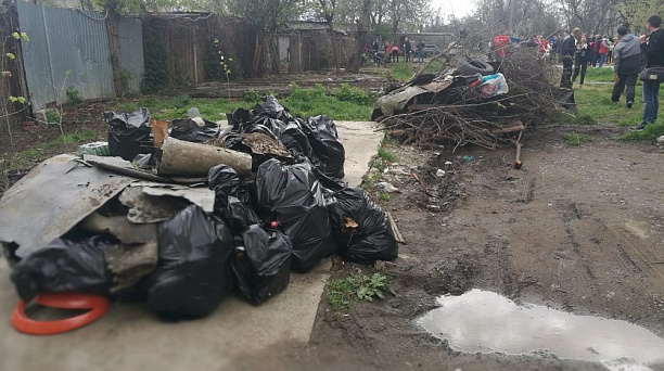 В ходе челленджа «Краснодар — 10 тысяч деревьев» в районе Карасунского водоема высадили деревья