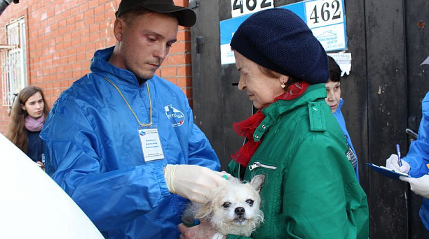 В Центральном округе прошла вакцинация животных