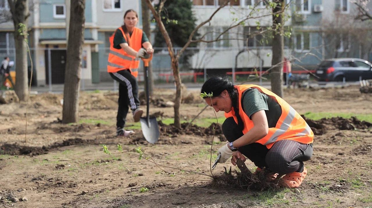 Фото: пресс-служба администрации Краснодара
