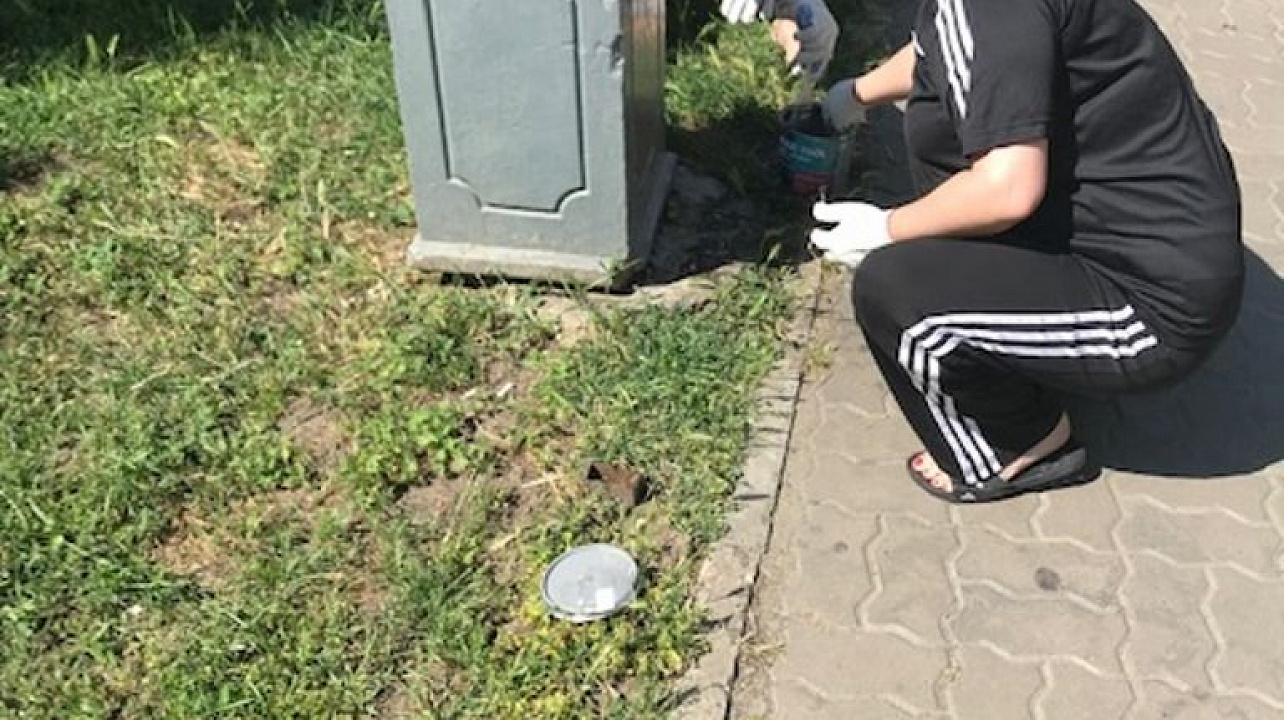 В Западном округе продолжаются санитарные субботники