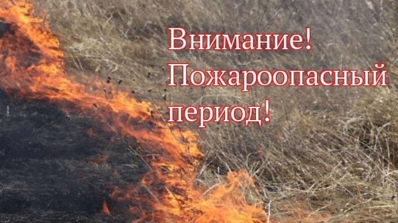 Фото администрации Центрального округа города Краснодара