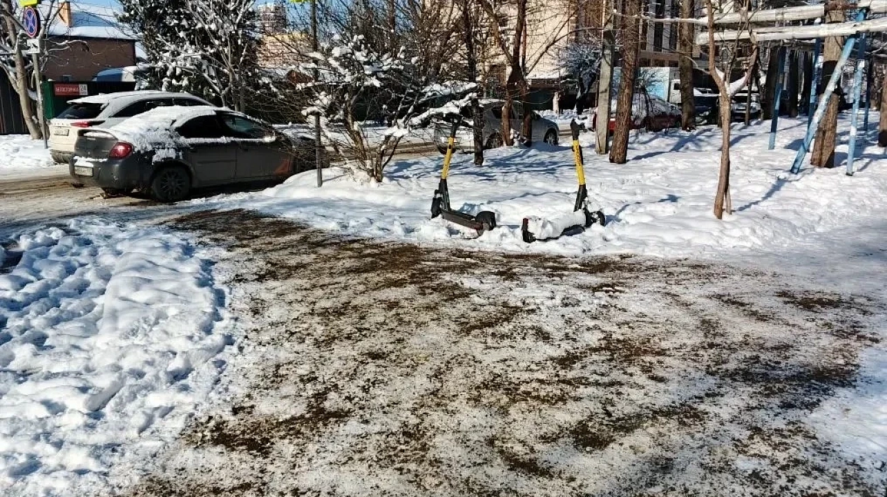 Фото: Пресс-служба администрации Краснодара