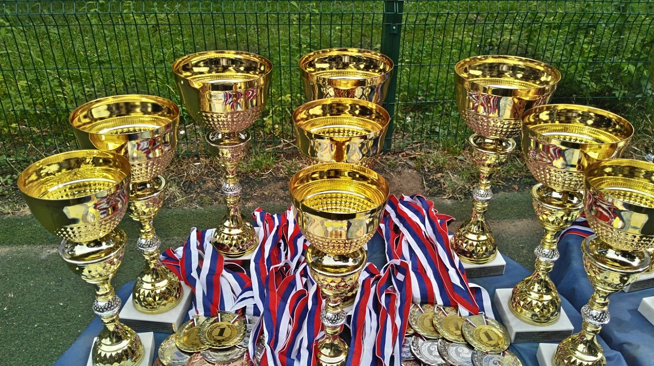 В минувшие выходные состоялись соревнования по мини-футболу