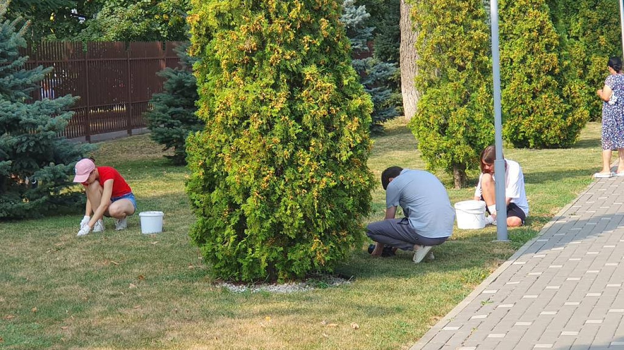 Фото: пресс-служба администрации муниципального образования город Краснодар