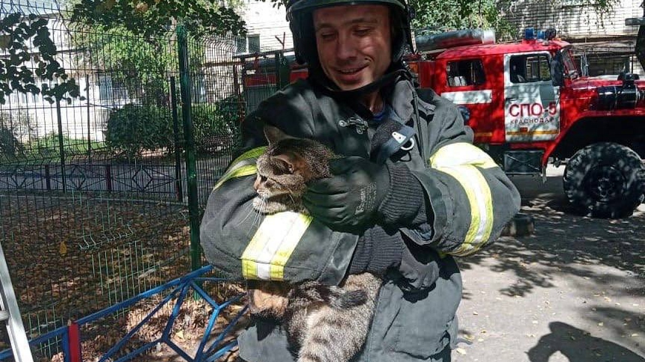 Фото: Пресс-служба администрации Краснодара