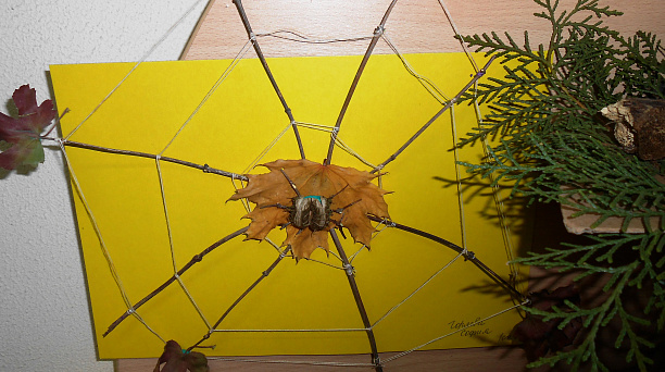 Выставка-конкурс открылась в детском саду Западного округа