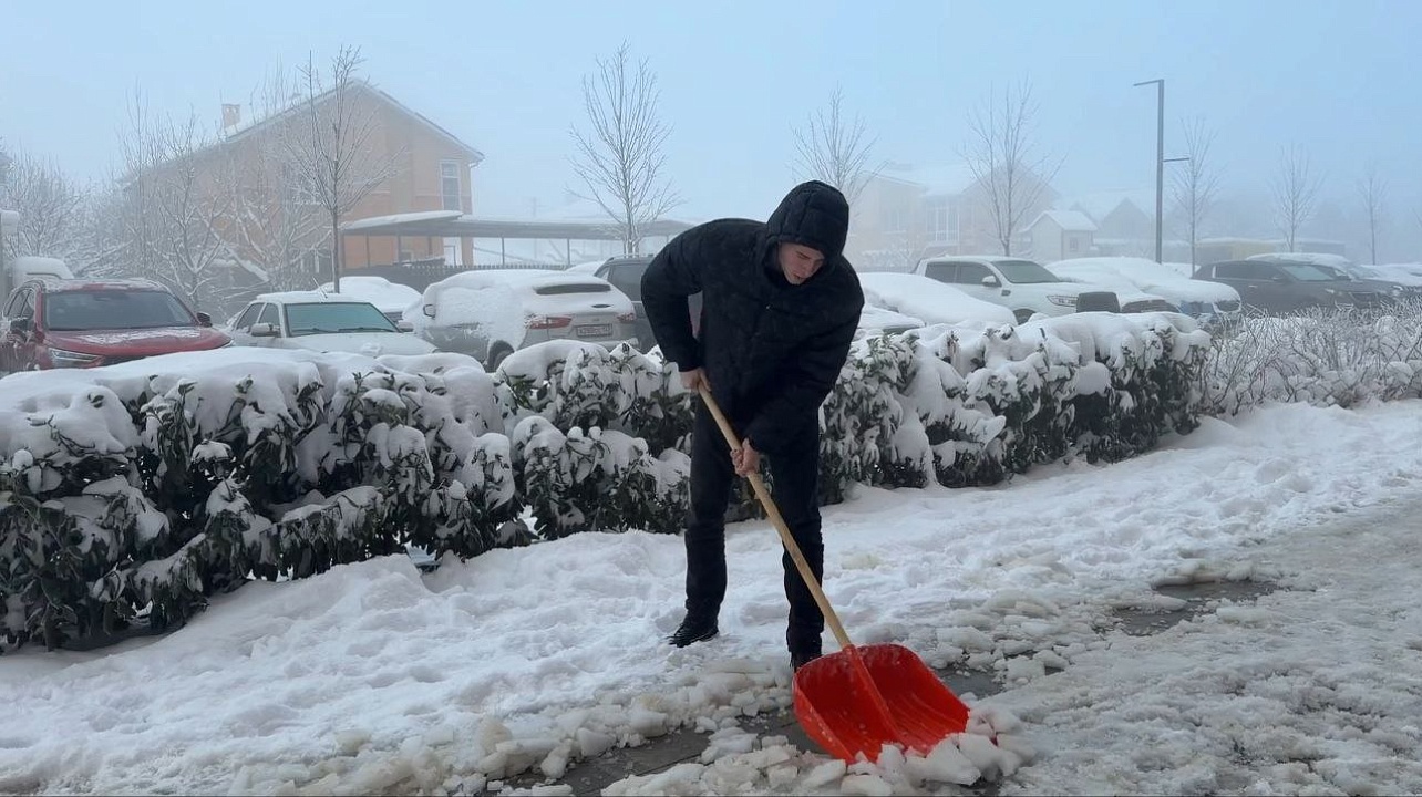 Фото: городская Дума Краснодара