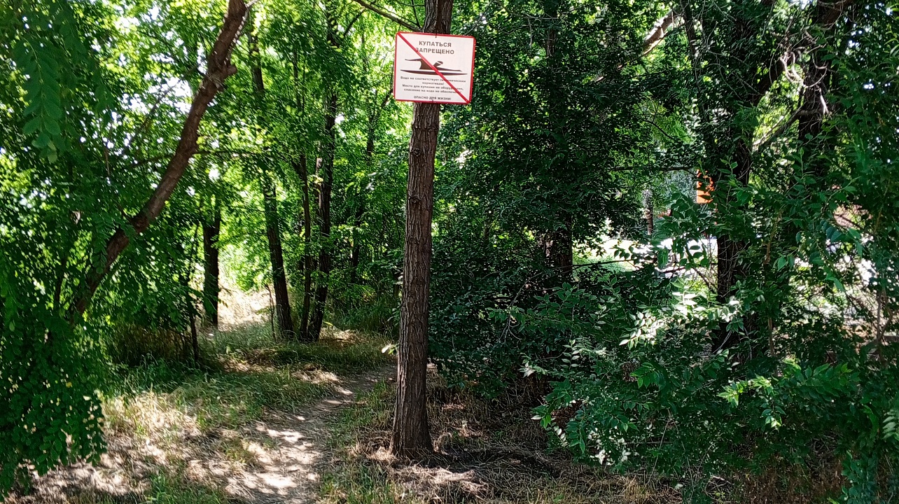 Фото: администрации Центрального округа