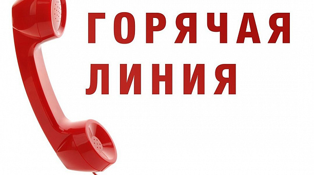 В Краснодаре действует «Горячая линия»  для оказания помощи пожилым гражданам