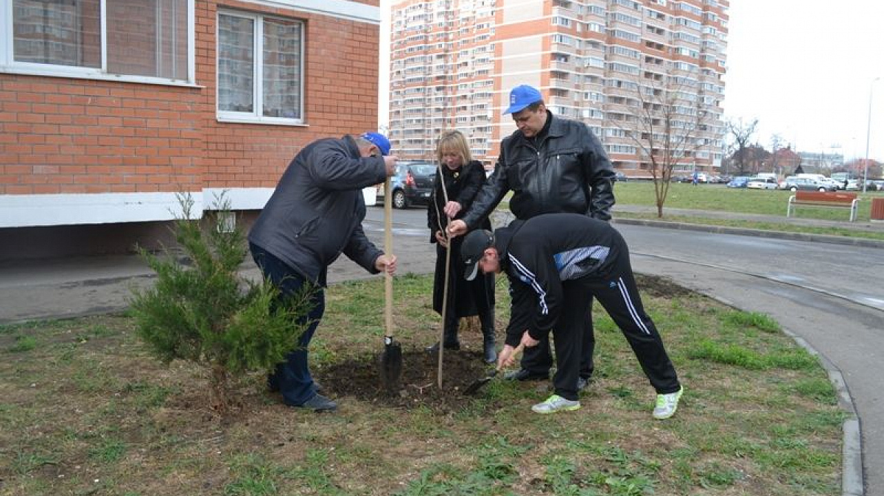 Дмитрий Логвиненко: Благоустройство и чистота в своем дворе — это главная задача всех жителей Западного округа