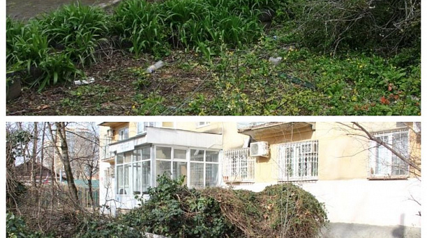 В Центральном округе привели в порядок зеленую зону