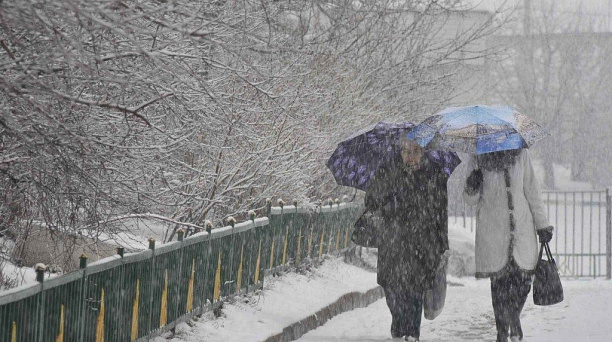 Администрация Западного округа информирует