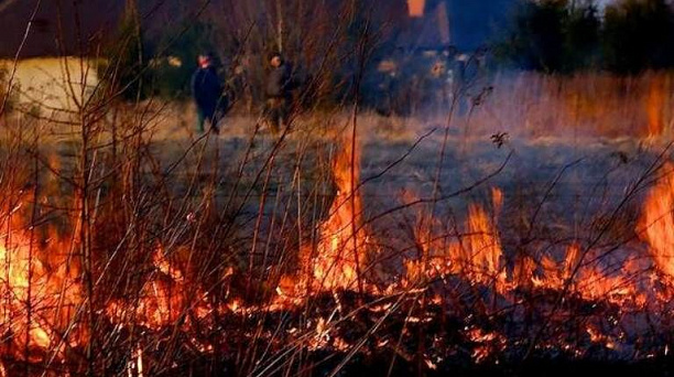 Администрация Западного округа напоминает о соблюдении правил пожарной безопасности