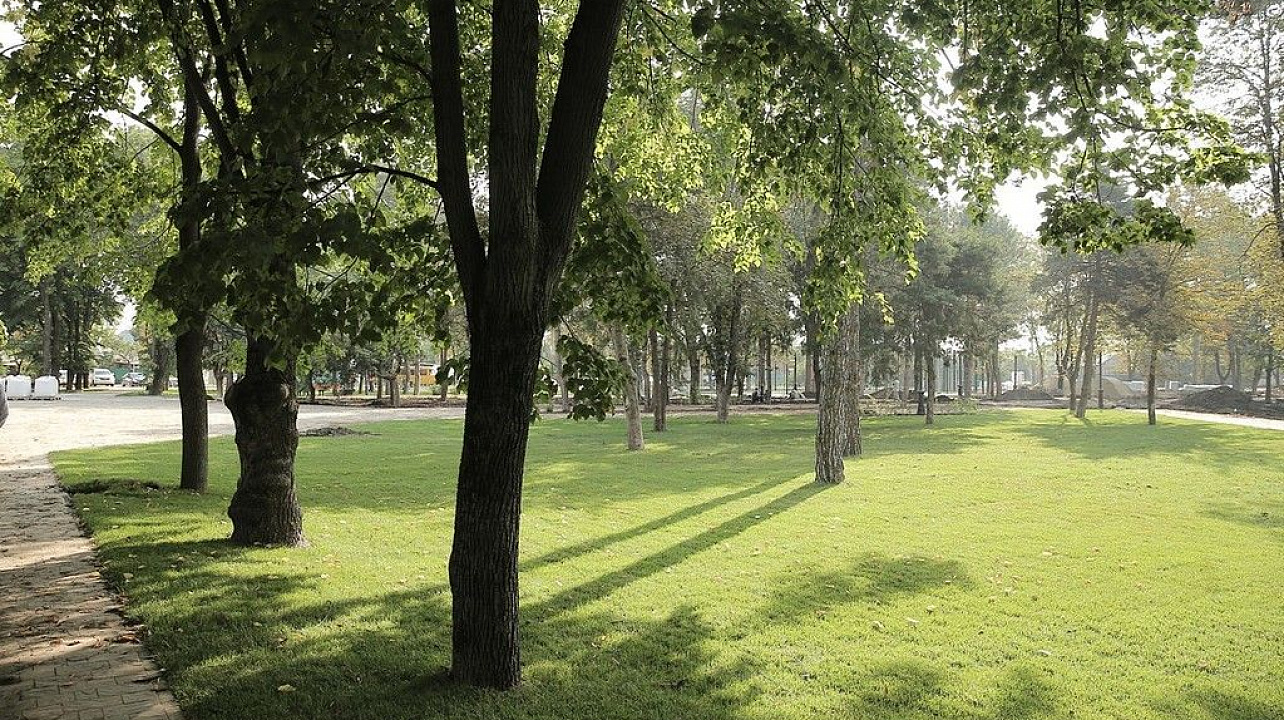 Благоустройство зеленых зон по нацпроекту в Краснодаре планируется завершить в октябре