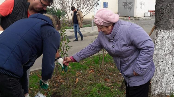 Более тысячи деревьев и кустарников высажено в Центральном округе