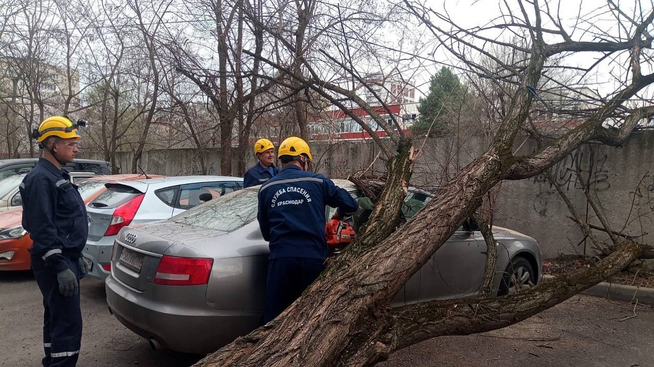Фото: Служба спасения