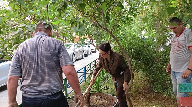 Красоты во дворах без труда не бывает