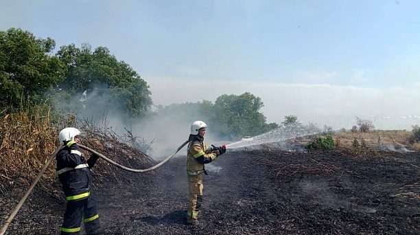 Ликвидировали пожары, обеспечивали безопасность на воде и убирали мазут с пляжей Анапы: итоги работы Службы спасения Краснодара за неделю