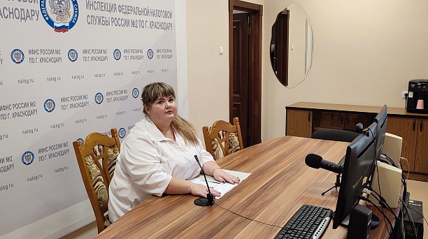 Инспекция провела вебинар 12 января