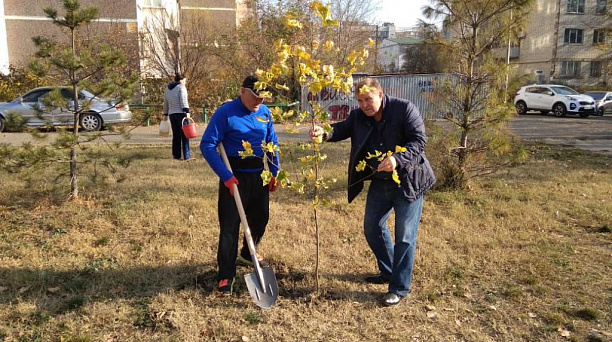 В Юбилейном микрорайоне прошел «зеленый» субботник