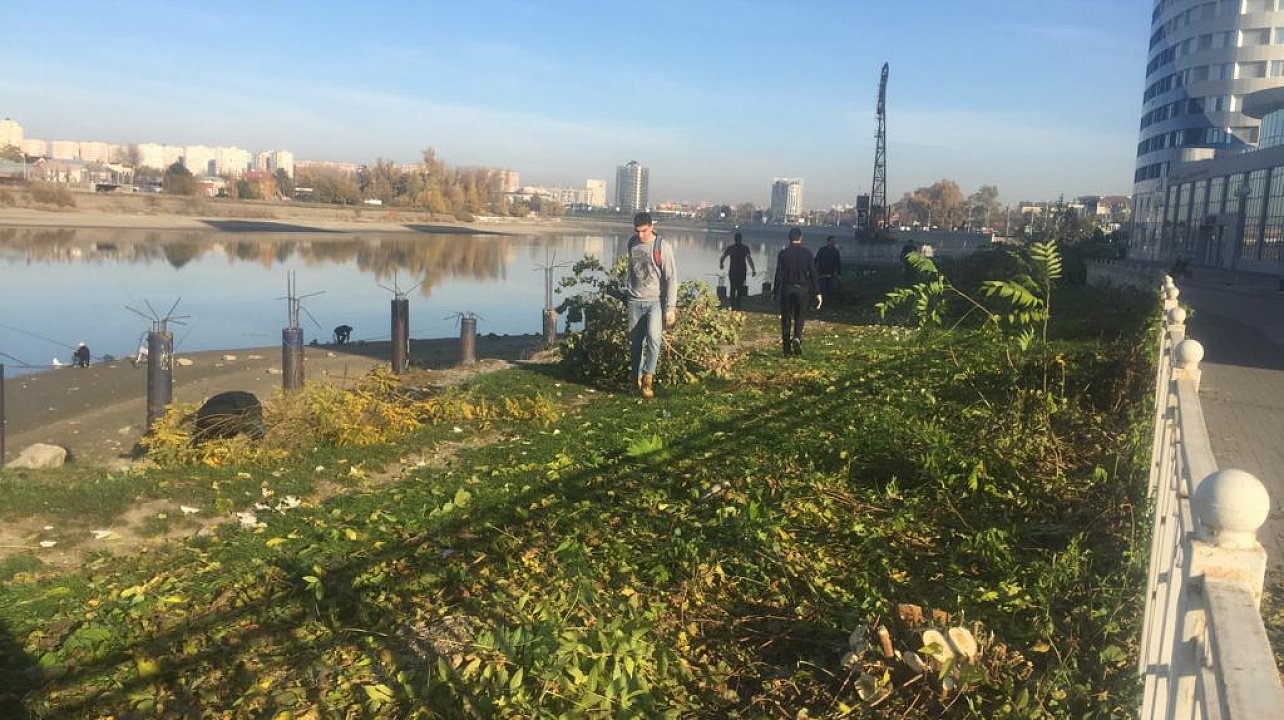 В Западном округе прошла уборка в прибрежной зоне реки Кубань