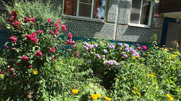 В избирательном округе № 28прошел конкурс среди актива общественности «Цветочная фантазия»