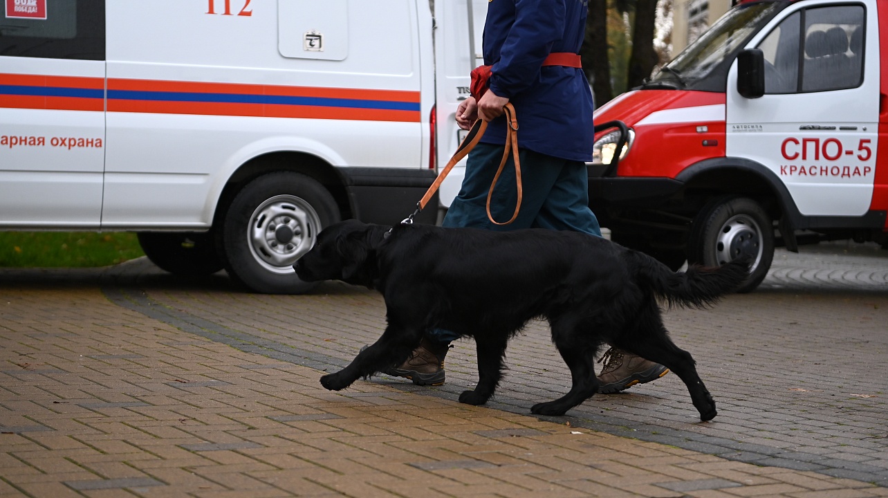 Фото: Андрей Зубов