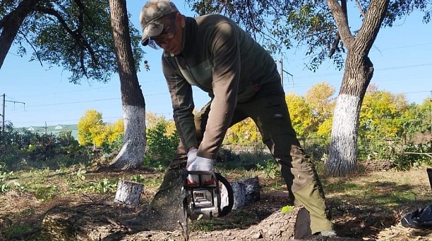 Работники администрации Прикубанского округа на субботнике очистили более километра лесополосы вдоль Ростовского шоссе 