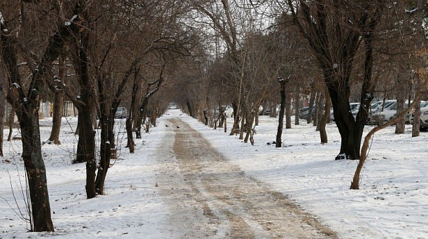 Евгений Первышов обсудил с общественностью планы по благоустройству бульвара по ул. Дальней