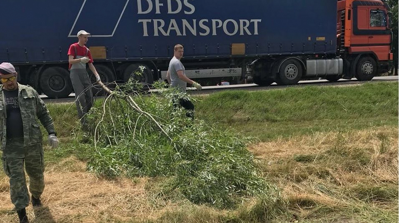 Сотрудники администрации Западного округа приняли участие в еженедельном субботнике