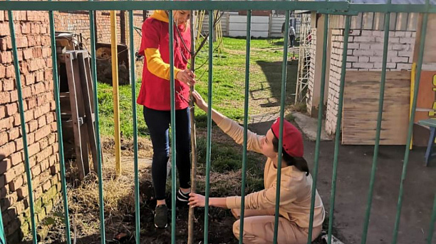 В Западном округе высажено 525 деревьев и 360 кустарников в рамках акции «Краснодару — 10000 деревьев»