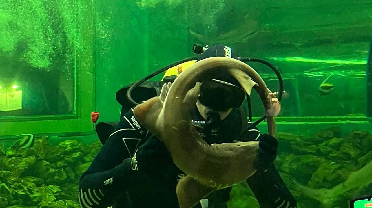 Фото: администрация Западного округа