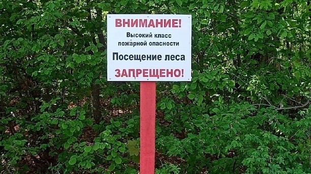 Введено ограничение пребывания граждан в лесах