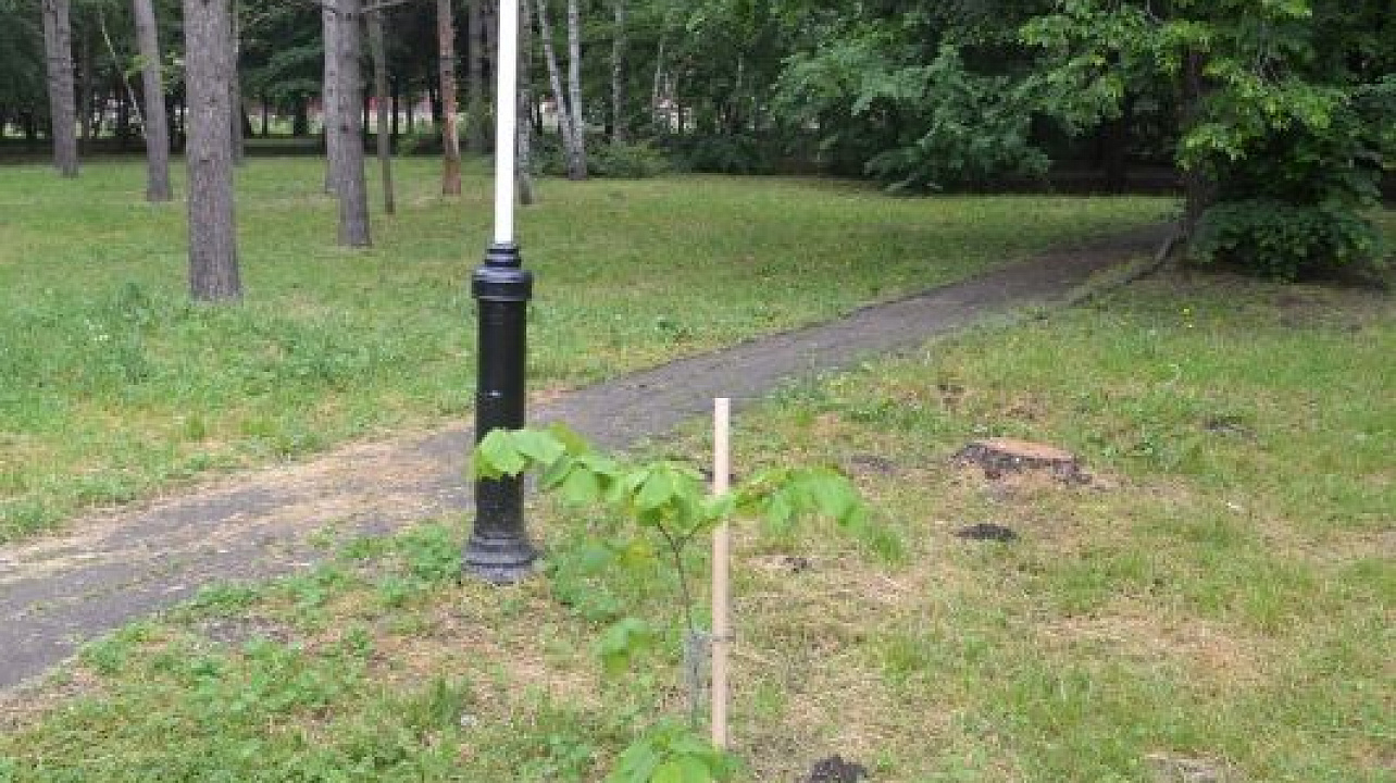 Фото: Пресс-служба администрации Краснодара