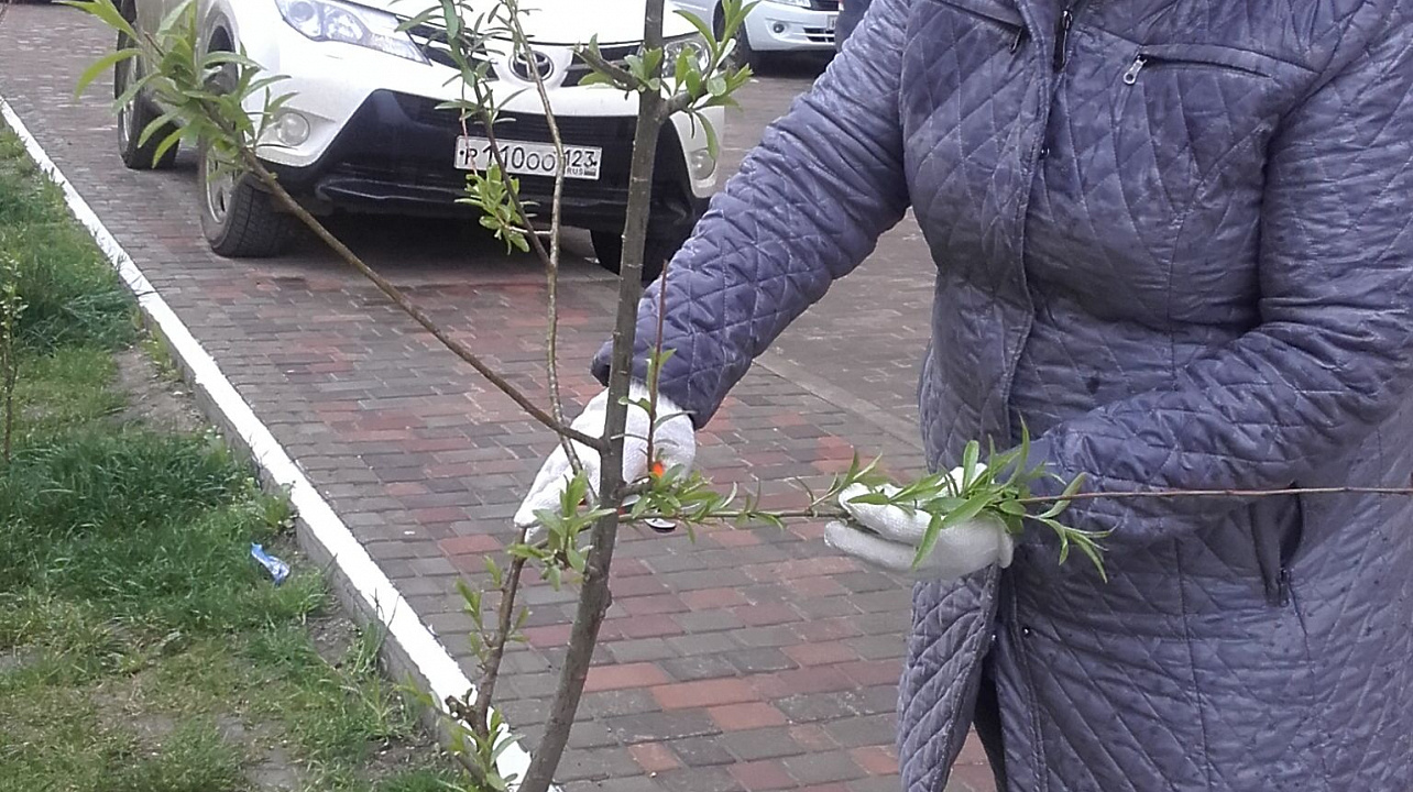 Жители дома по улице Жигеленко, 4, привели порядок придомовую территорию