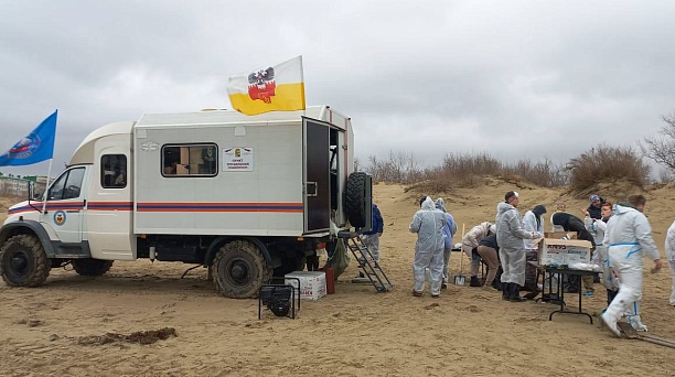 Команда краснодарских единороссов присоединилась к расчистке береговой линии в Анапе
