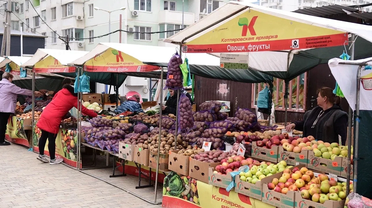 Фото: Пресс-служба администрации Краснодара