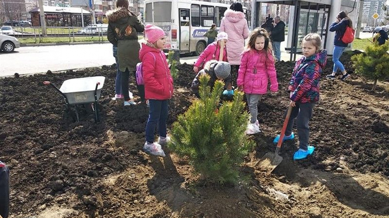 Краснодару - 10 тысяч деревьев.jpg