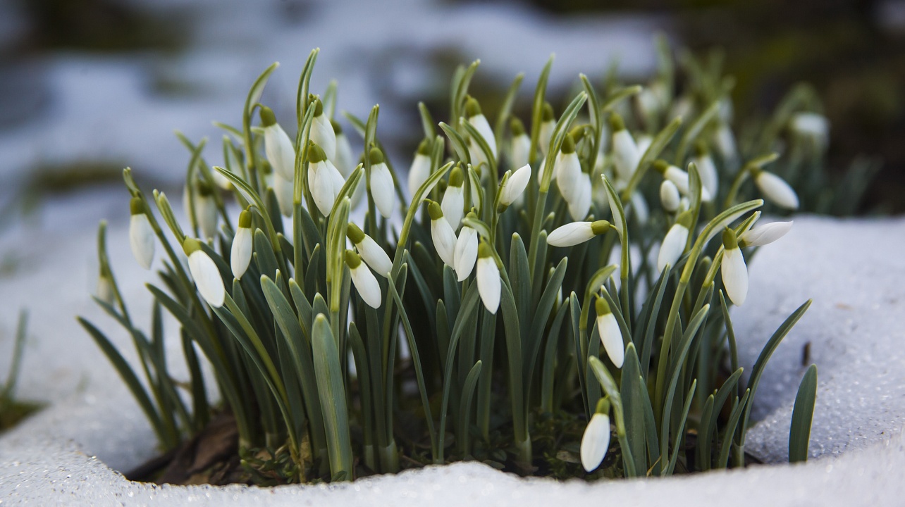 Фото: ru.freepik.com