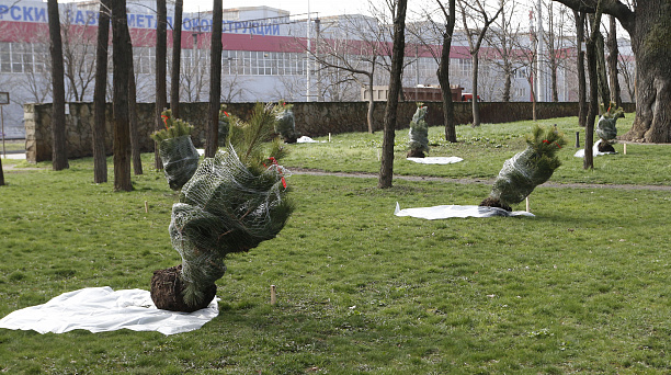 Во Всекубанском субботнике в Краснодаре приняли участие около 120 тыс. человек