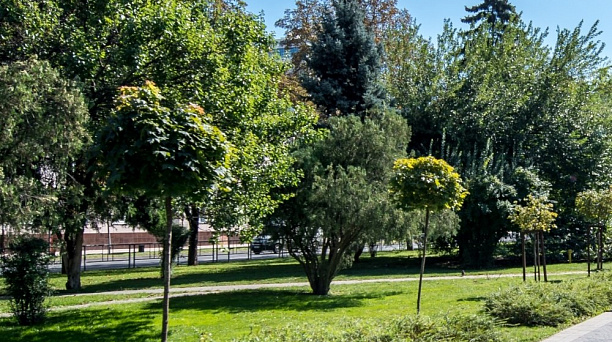 Порядка 200 зеленых зон будут обеспечены постоянным поливом в Краснодаре