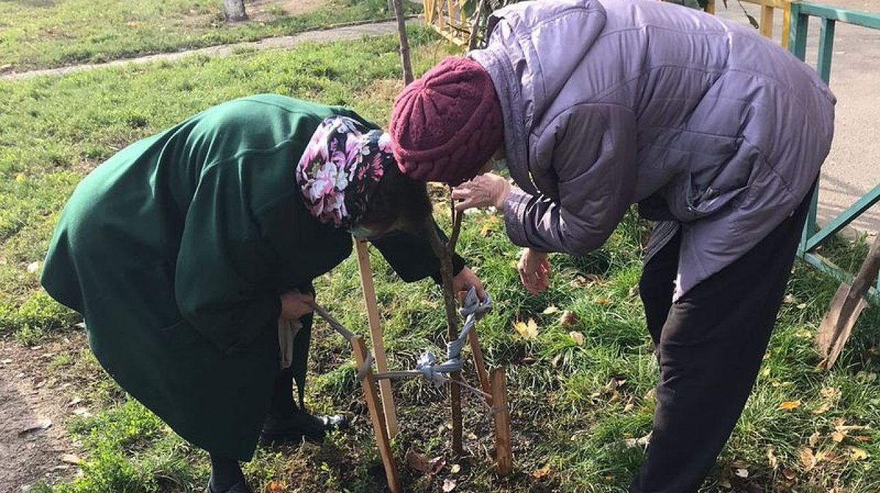 Более тысяча деревьев и кустарников высажена в Центральном округе