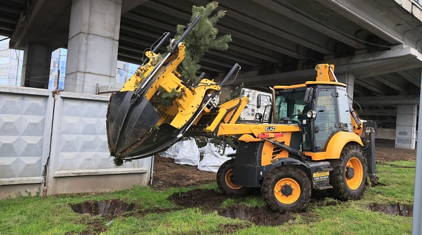 Евгений Наумов: Из-за работ на Тургеневском мосту перевезём на новое место 52 дерева и 65 кустарников
