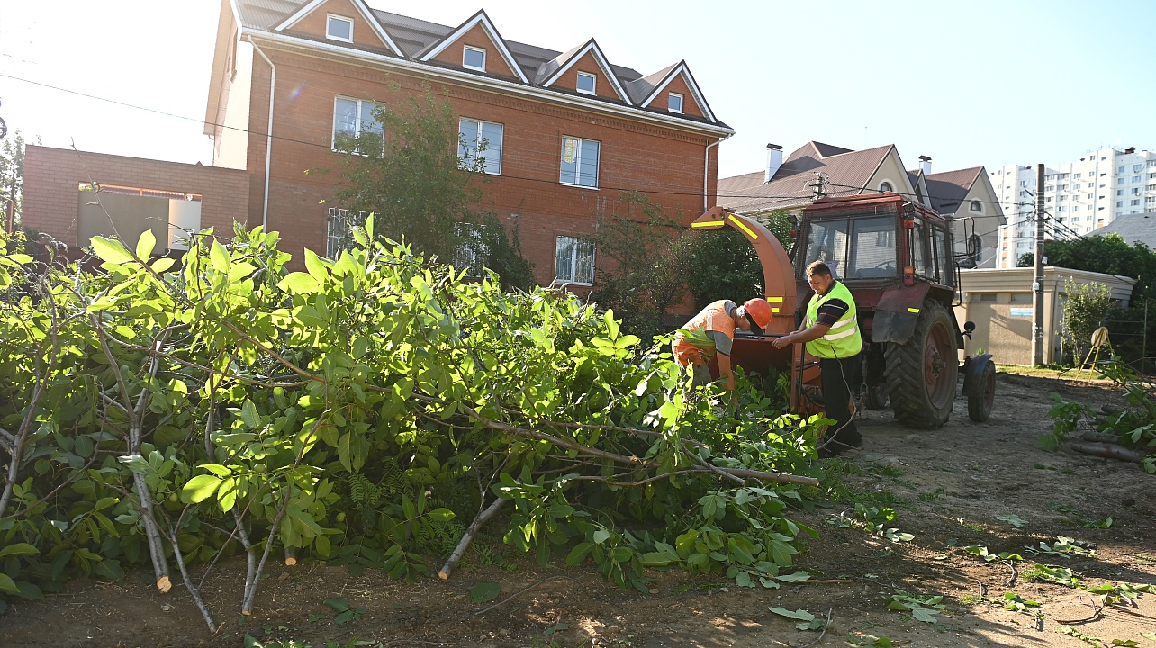 Фото: Андрей Зубов