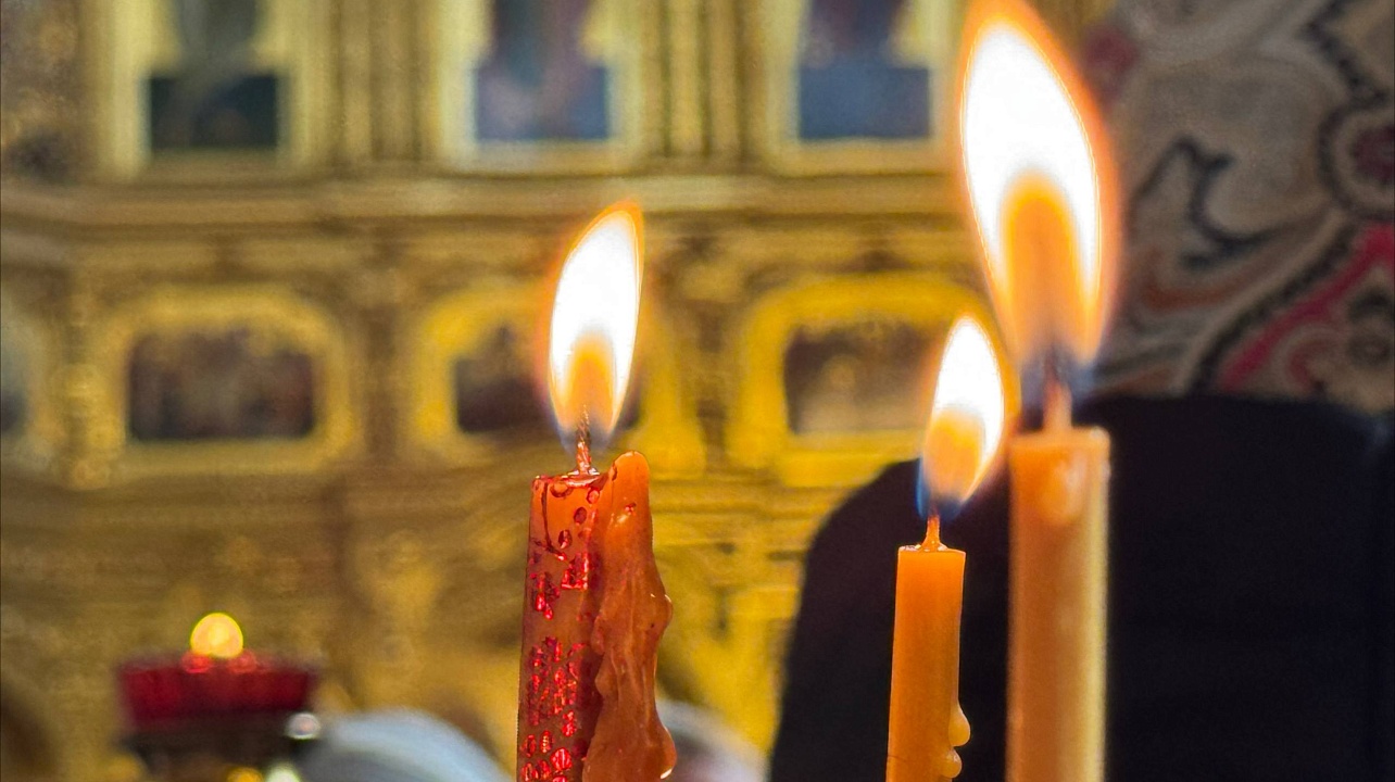 Фото: пресс-служба администрации Краснодарского края