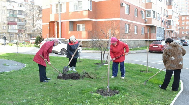 Около 700 деревьев и кустарников высажено в Центральном округе