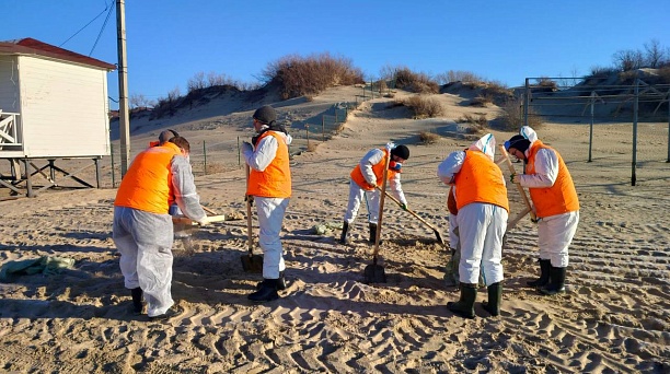 Сегодня краснодарские спасатели и волонтёры очищали песок на пляжах Анапы от мелких фракций мазута