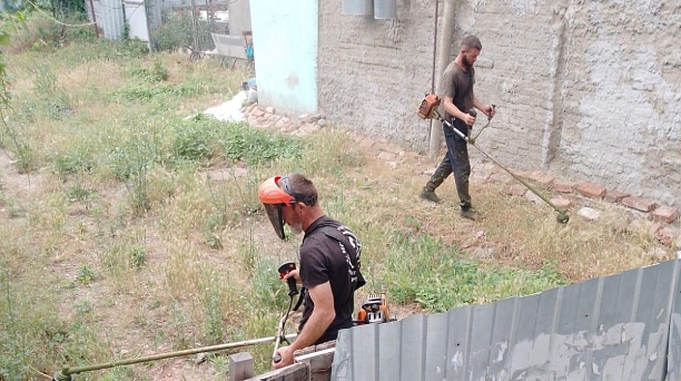 В Центральном округе продолжается борьба с карантинной растительностью