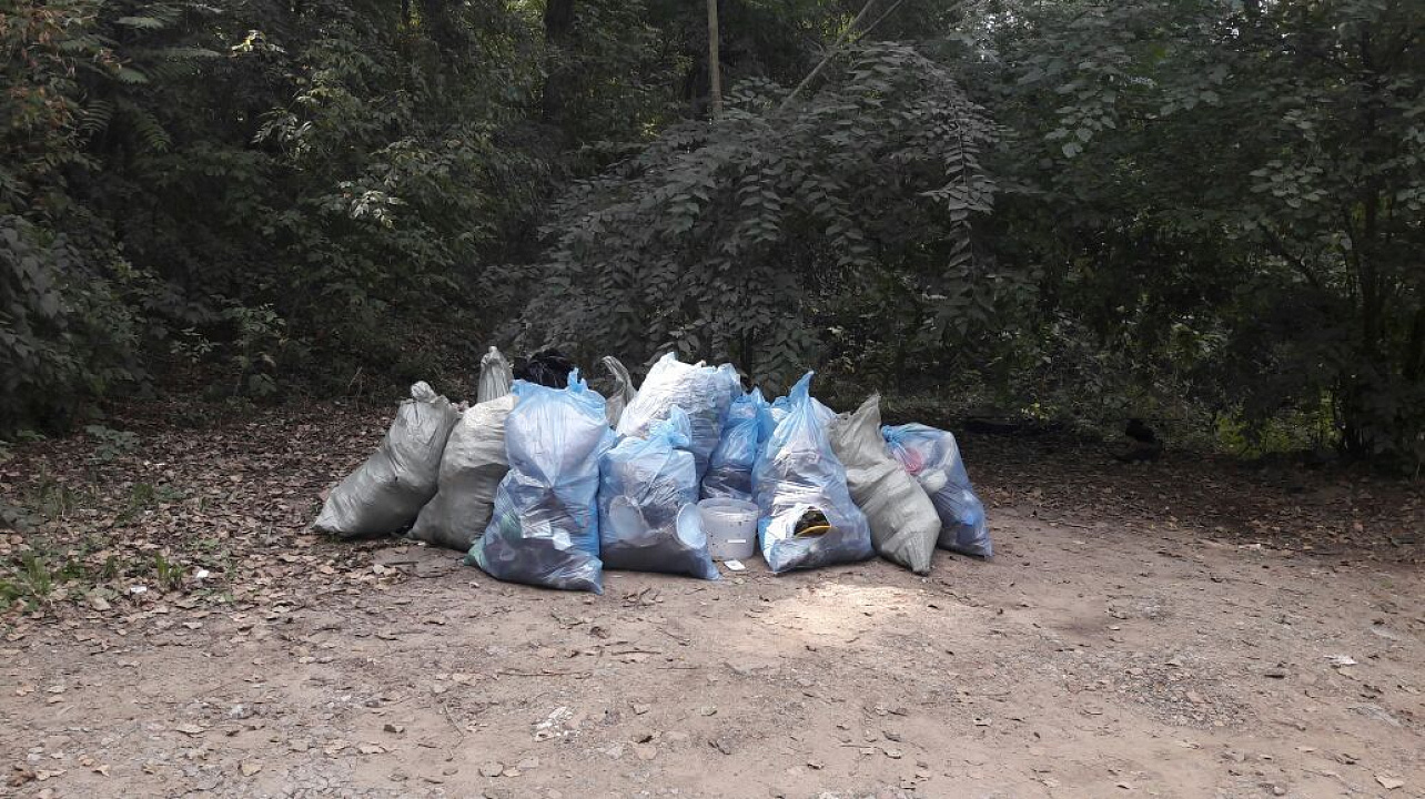 В Западном округе проведён экологический субботник «Зелёная Россия»