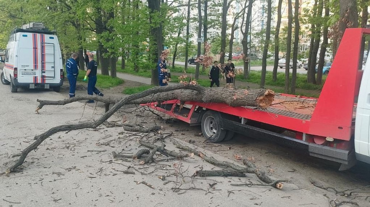 Фото: Пресс-служба администрации Краснодара
